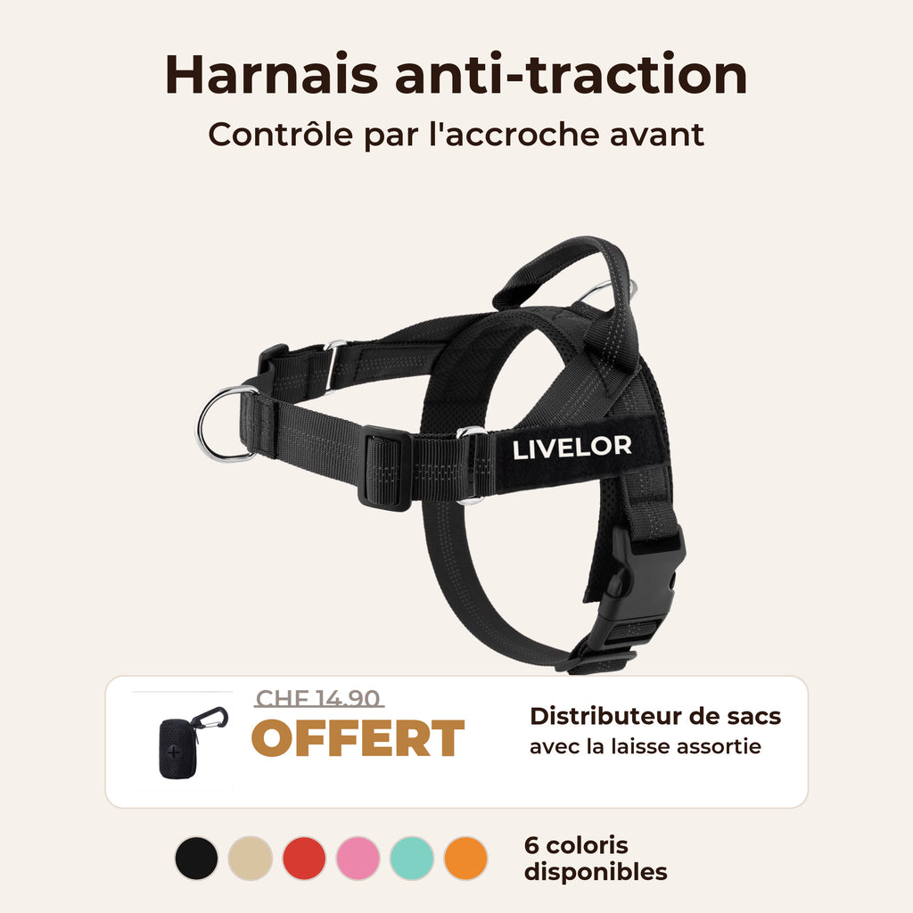 Harnais anti-traction Livelor, accroche avant, distributeur de sacs offert avec la laisse, 6 coloris