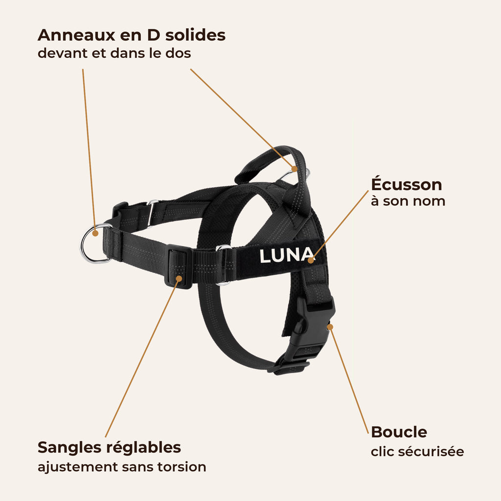 Détails du harnais Livelor : anneaux en D, écusson à son nom, sangles réglables, boucle clic