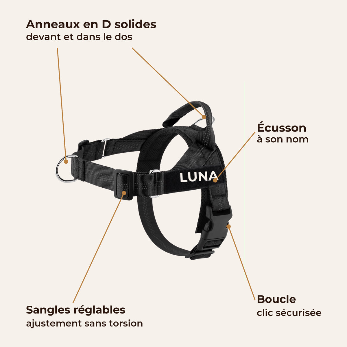 Détails du harnais Livelor : anneaux en D, écusson à son nom, sangles réglables, boucle clic