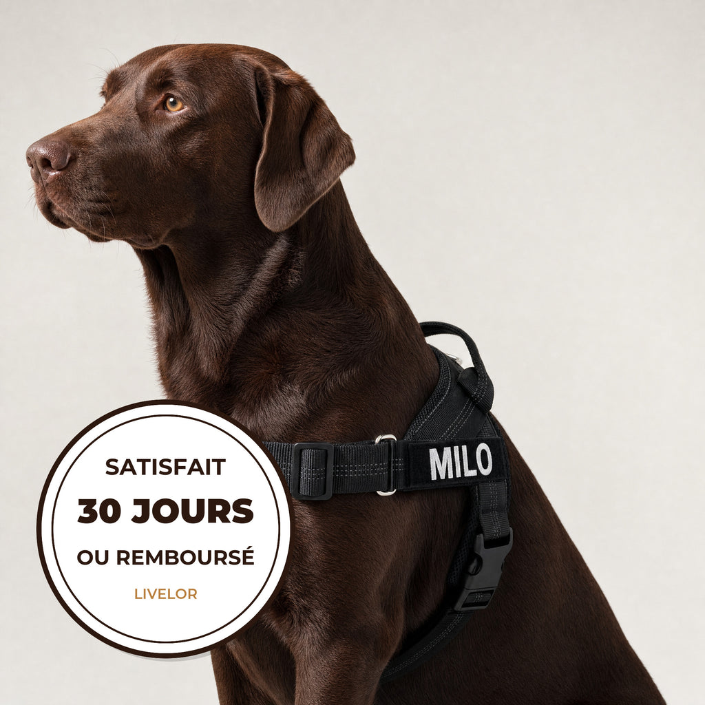 Satisfait ou remboursé 30 jours