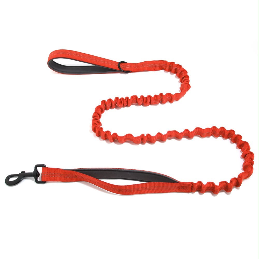 Laisse élastique Livelor orange