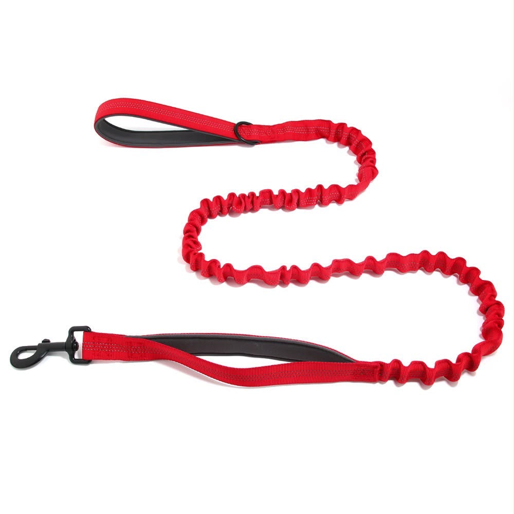 Laisse élastique Livelor rouge