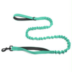 Laisse élastique Livelor turquoise