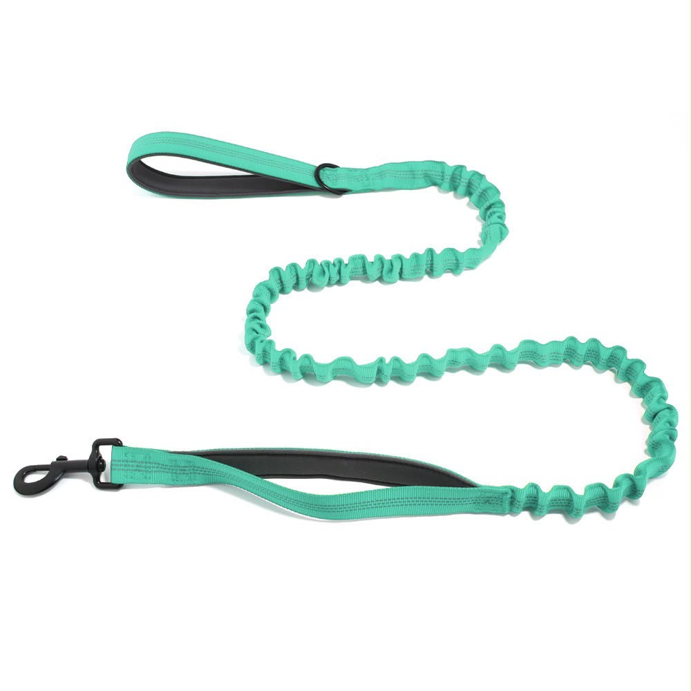 Laisse élastique Livelor turquoise